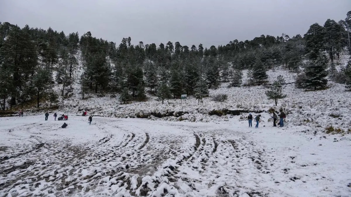 Frente Frío 16 y Aire Polar Azotarán a México Durante 4 Días con Temperaturas de -10 Grados