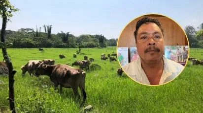 Controlan brote de gusano barrenador en Las Barrillas, pero alertan por riesgo en temporada invernal