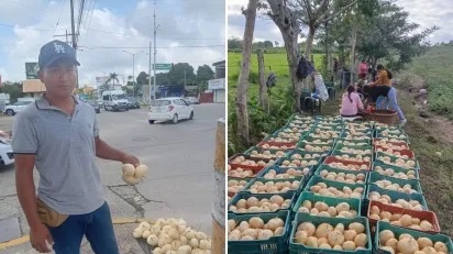 Vendedores de jícama llegan a los cruceros de Minatitlán para la temporada decembrina